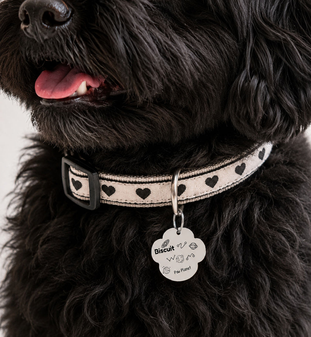 Paw Planet Pet Tag Template