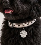 Paw Planet Pet Tag Template
