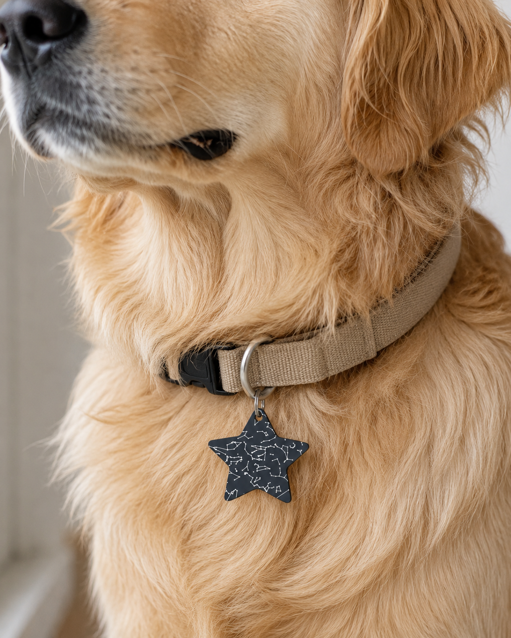 Guiding Star