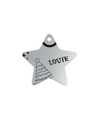Little Holiday Star