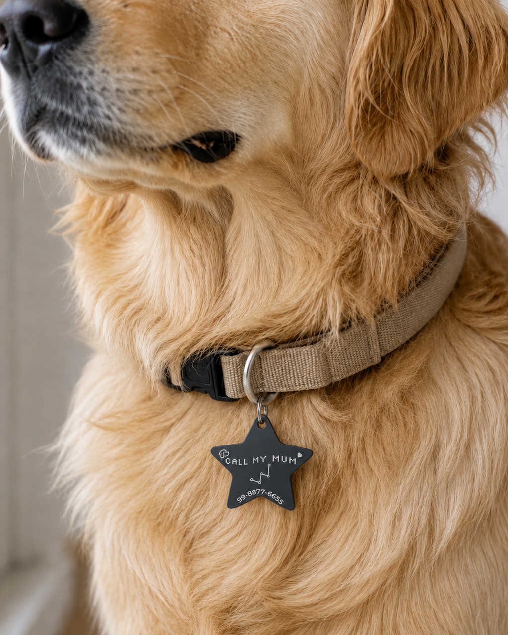 Guiding Star