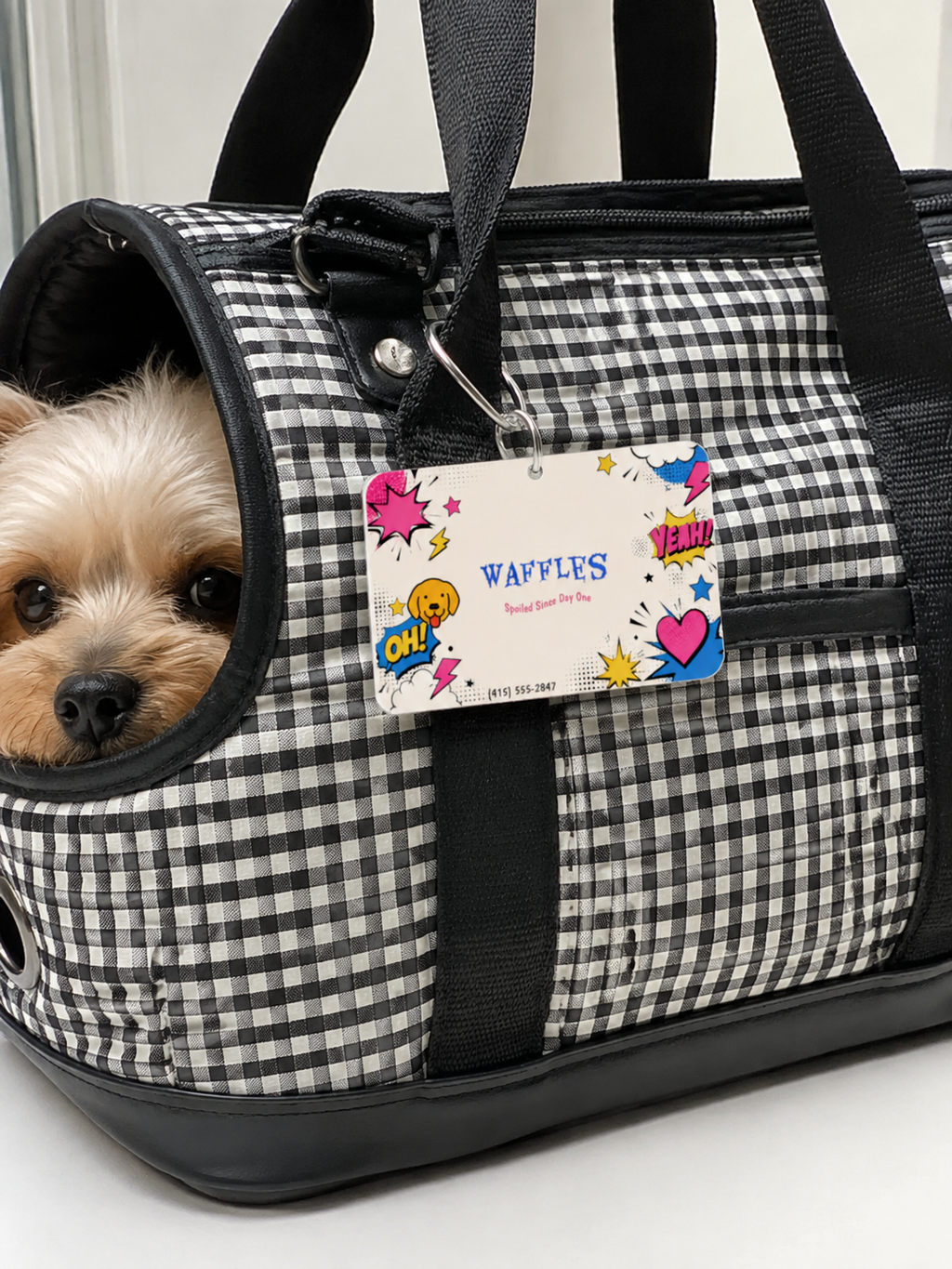 Spoiled Since Day One