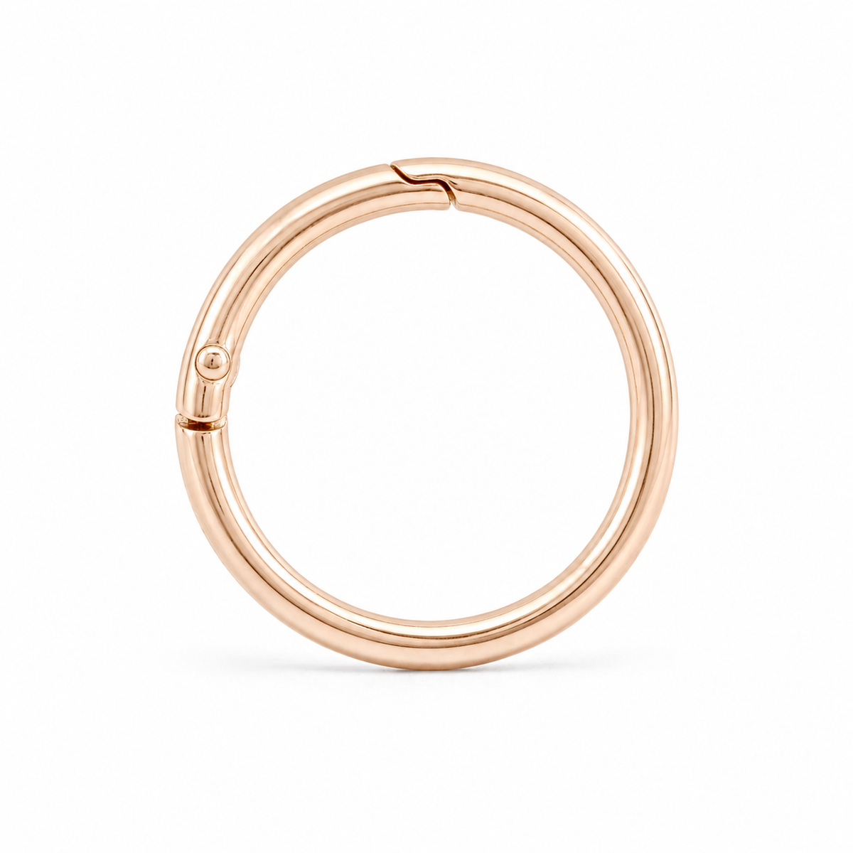 Pet Tag Keeper Ring