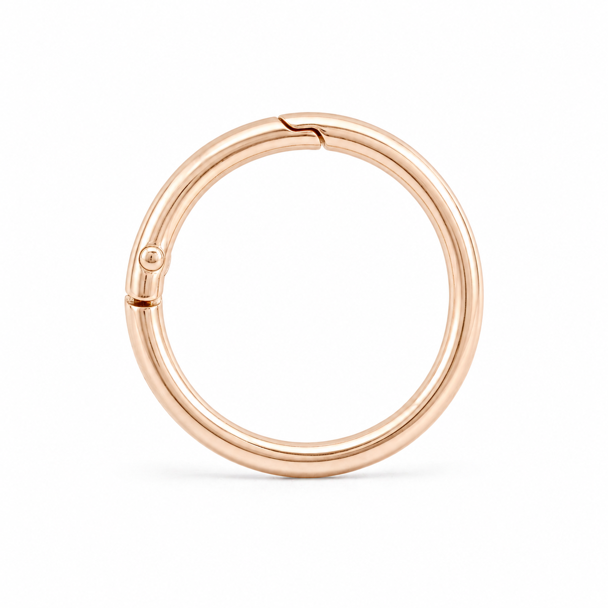 Pet Tag Keeper Ring