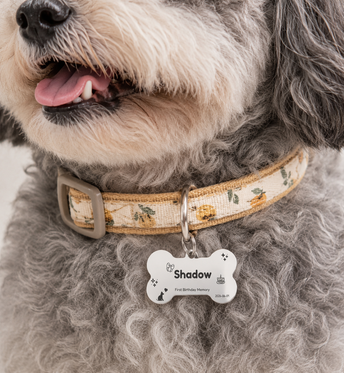 First Birthday Memory Pet Tag Template