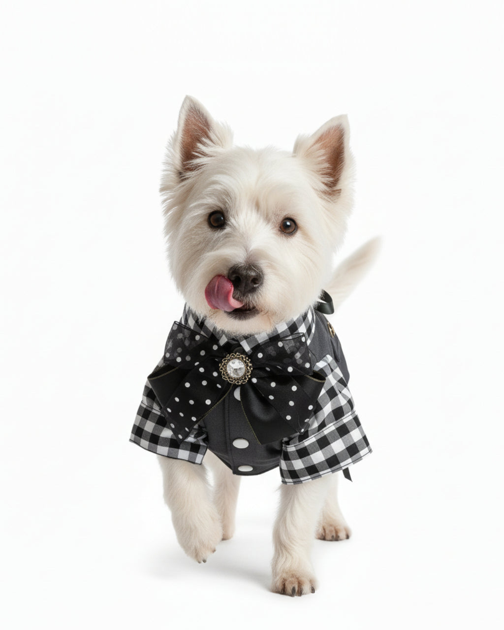 Black & White Gingham Vest Shirt Dog & Cat Outfit
