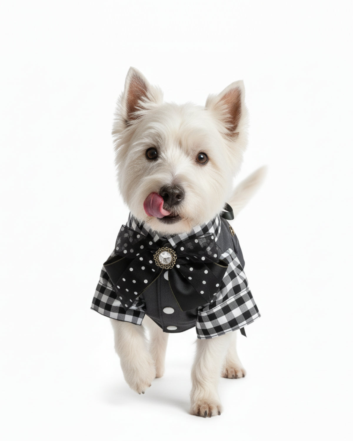 Black & White Gingham Vest Shirt Dog & Cat Outfit