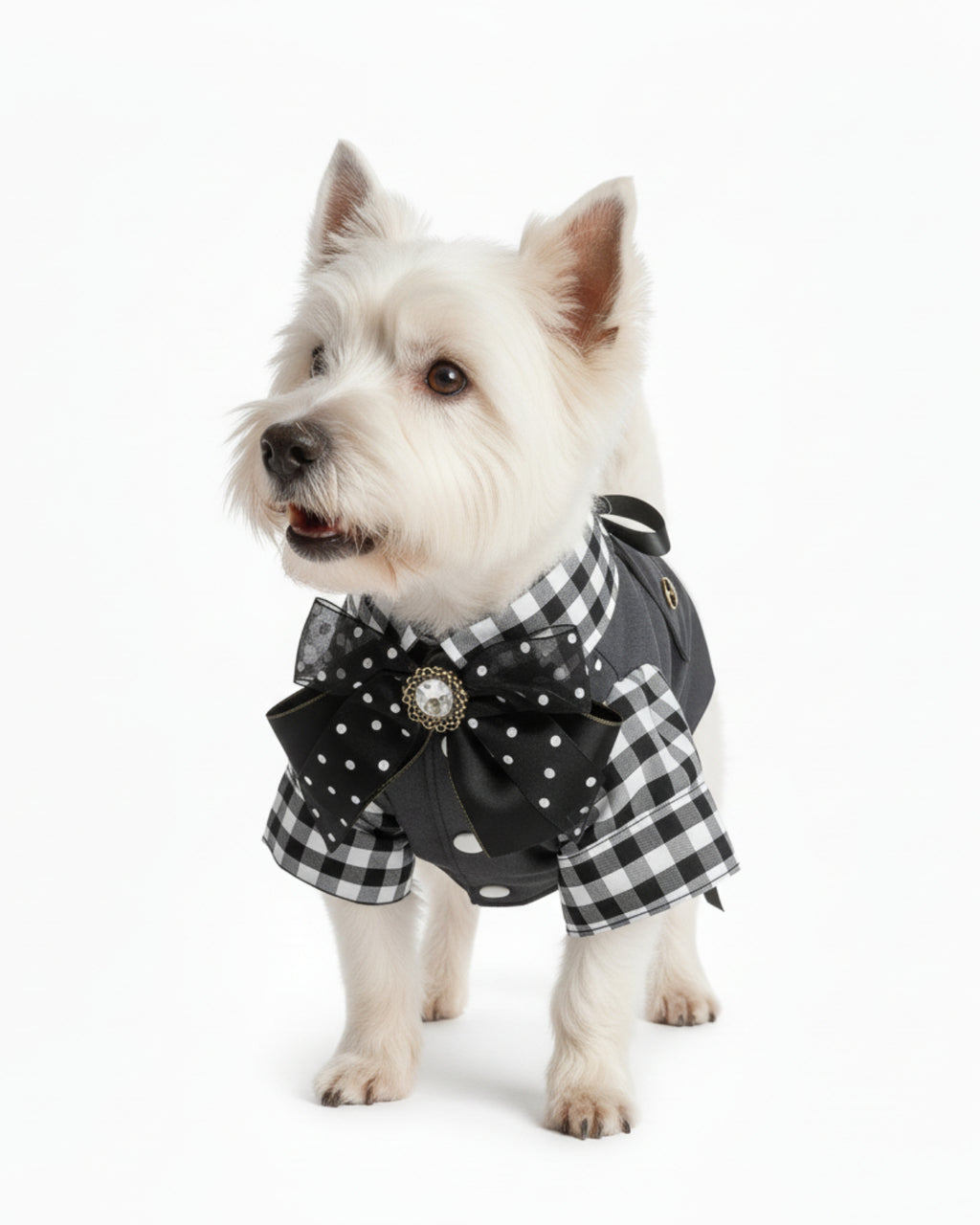 Black & White Gingham Vest Shirt Dog & Cat Outfit
