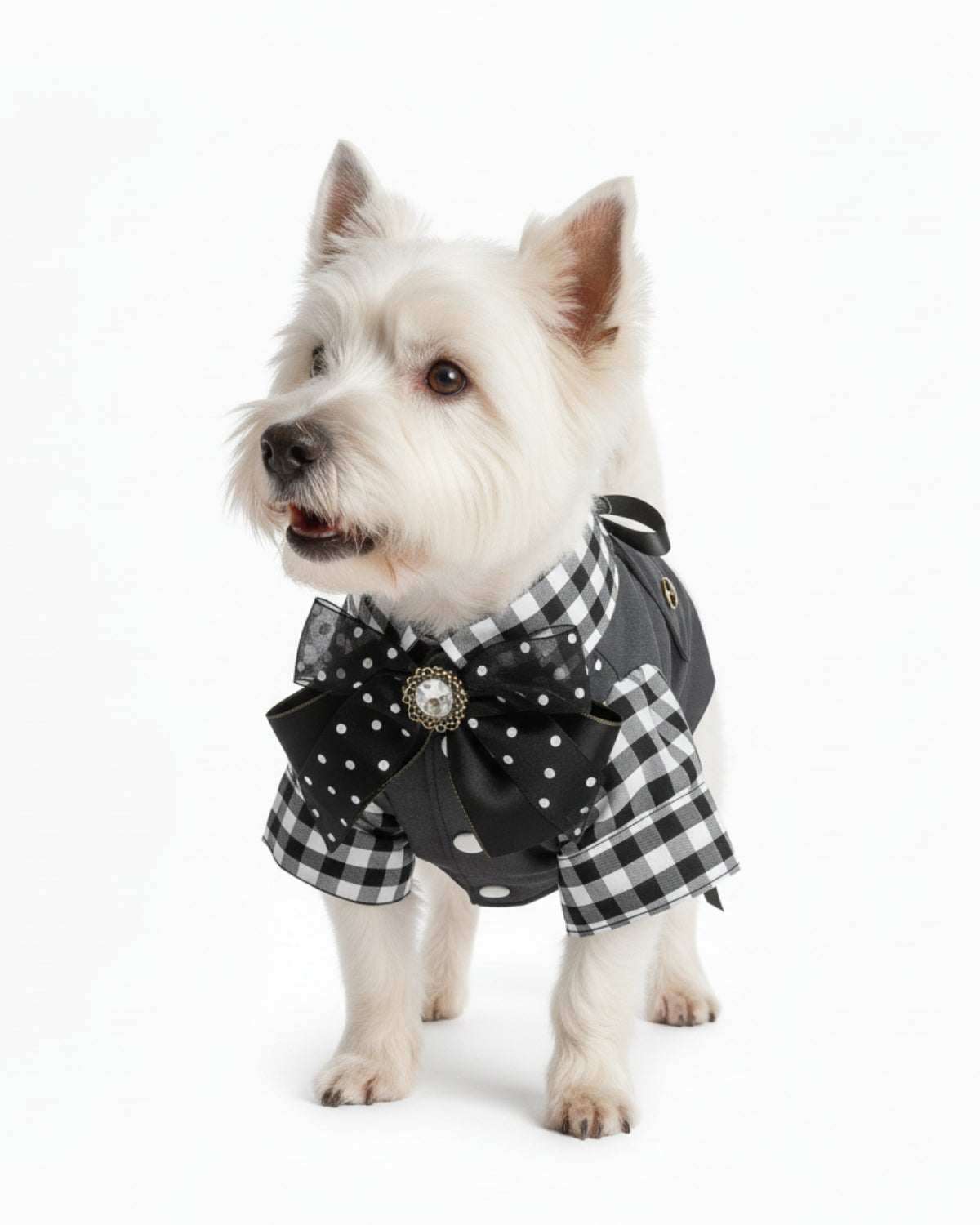 Black & White Gingham Vest Shirt Dog & Cat Outfit