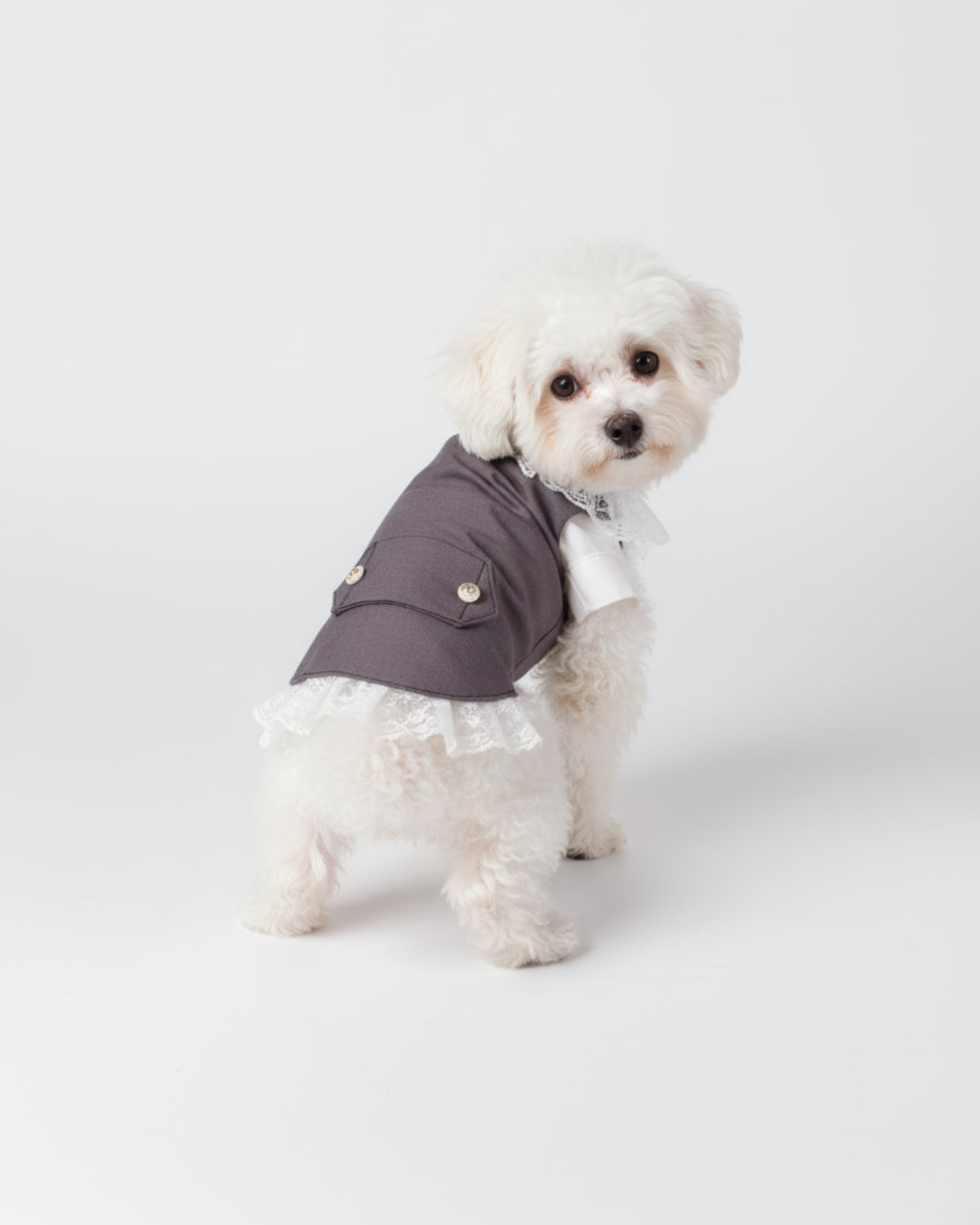 Gray Vest & White Shirt Dog & Cat Tuxedo – Bow Tie Ceremony Outfit