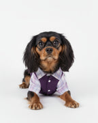 Purple Vest & Plaid Shirt Dog & Cat Outfit – Gentleman Style