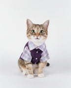 Purple Vest & Plaid Shirt Dog & Cat Outfit – Gentleman Style