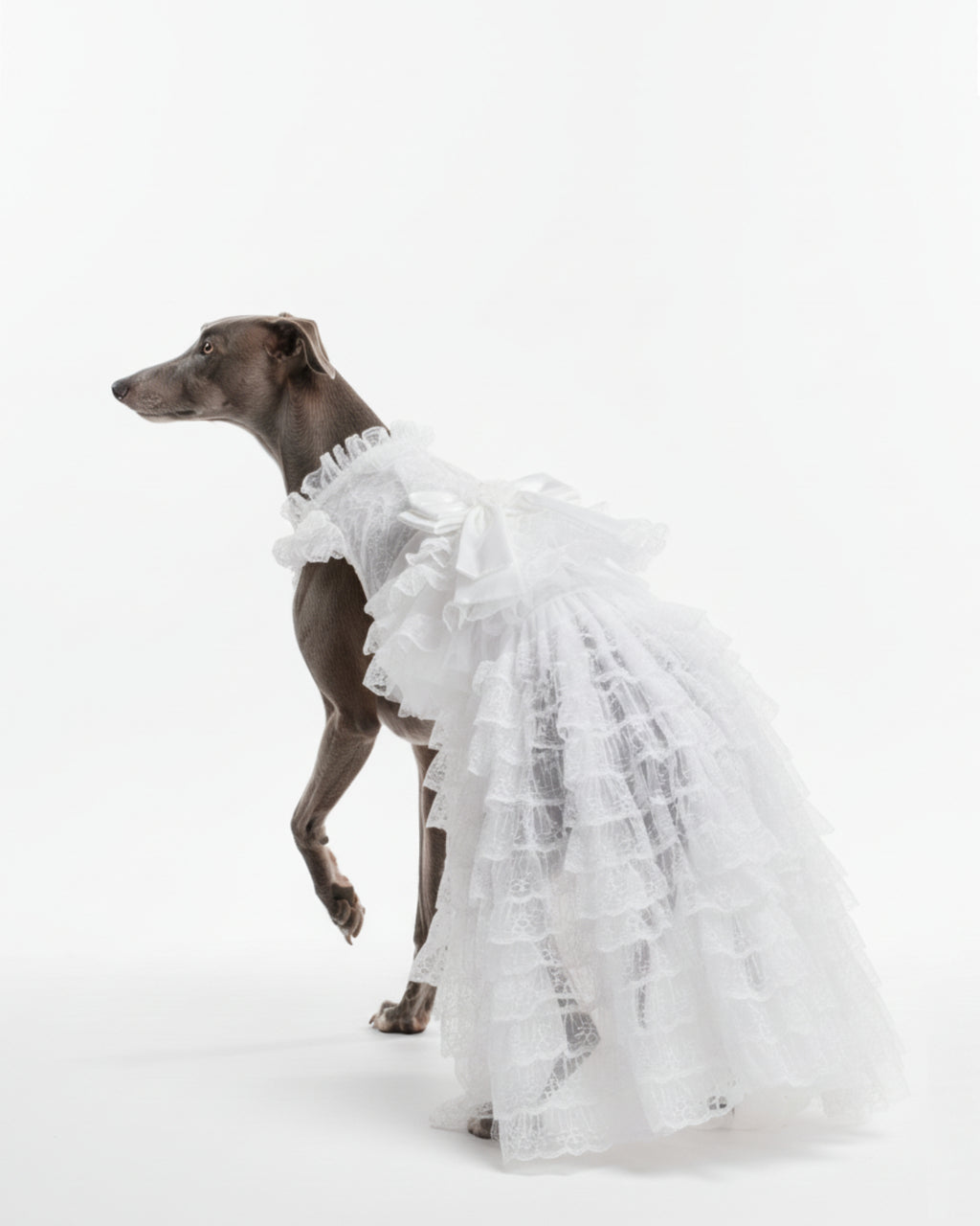White Lace Tiered Tulle Dog & Cat Wedding Dress – Detachable 2-Piece Bridal Set