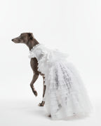 White Lace Tiered Tulle Dog & Cat Wedding Dress – Detachable 2-Piece Bridal Set