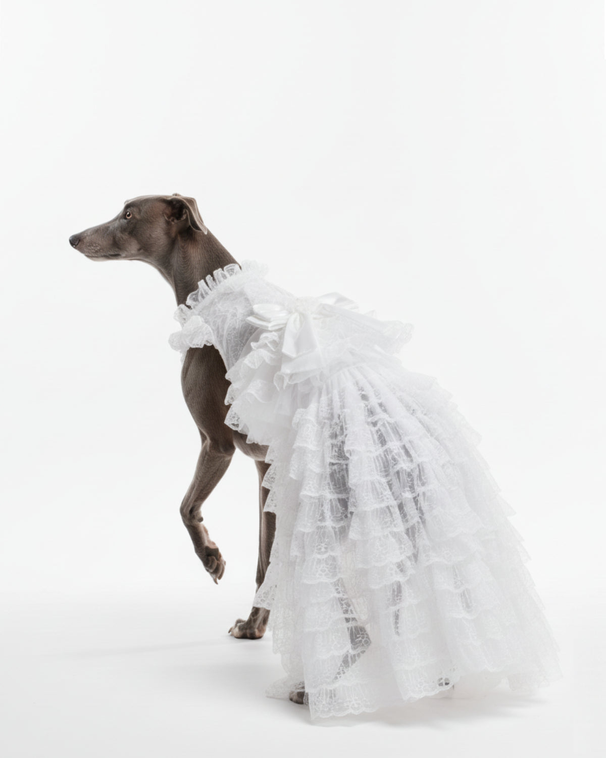 White Lace Tiered Tulle Dog & Cat Wedding Dress – Detachable 2-Piece Bridal Set