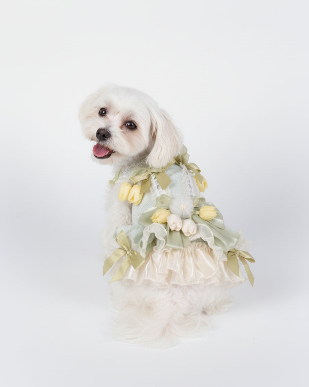 Layered Tulle Bow Dog & Cat Party Dress – Detachable 2-Piece Set, Floral Accents, 3 Colors
