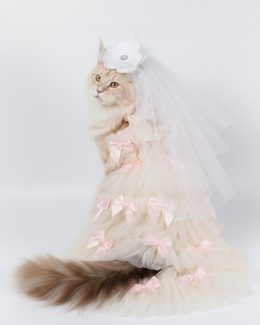 Layered Tulle Bow Dog & Cat Party Dress – Detachable 2-Piece Set, Floral Accents, 3 Colors