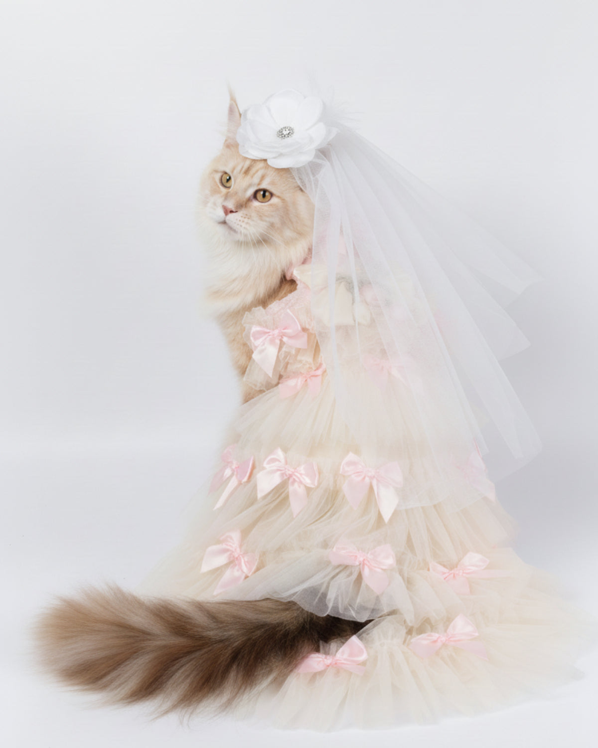 Layered Tulle Bow Dog & Cat Party Dress – Detachable 2-Piece Set, Floral Accents, 3 Colors