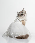 White Lace Tulle Dog & Cat Wedding Dress