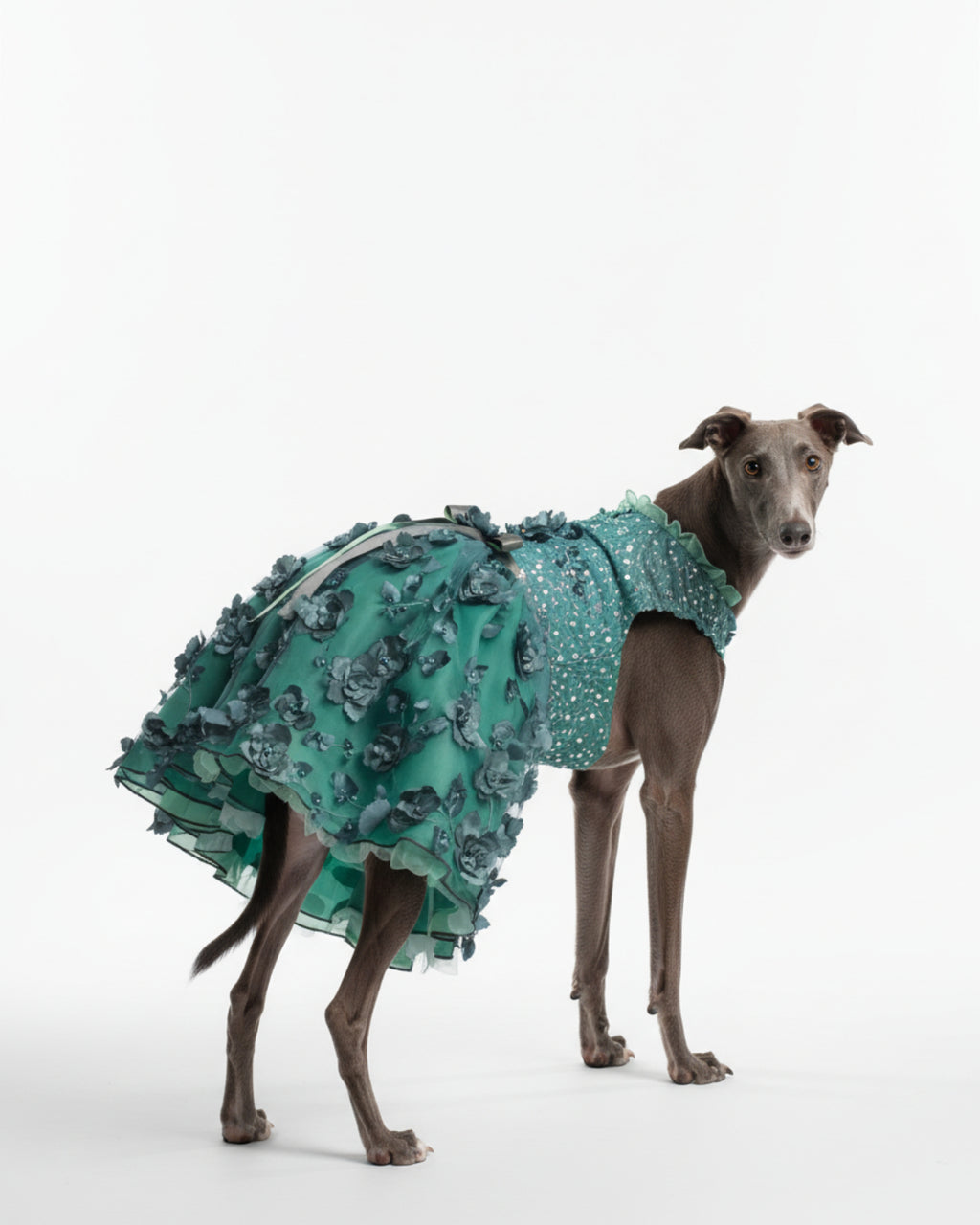Emerald Green Sequin Floral Tulle Dog & Cat Dress – Elegant Wedding Style