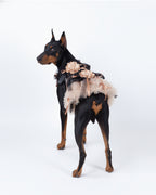 Champagne Tulle Lace Dog & Cat Party Dress with Rosette Bows – 2 Colors (Black/Red)