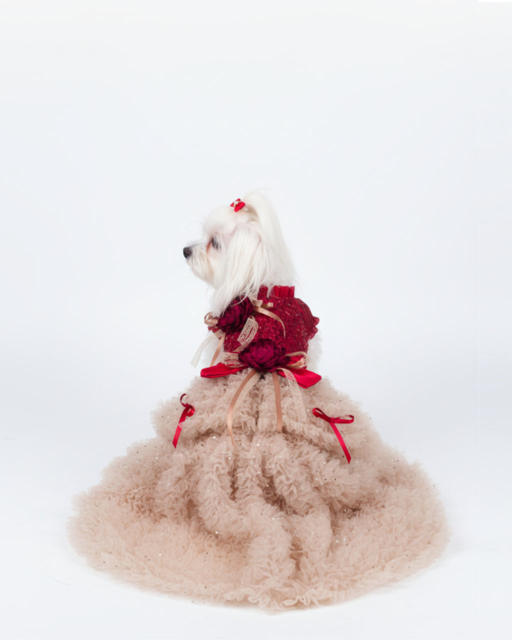 Champagne Tulle Lace Dog & Cat Party Dress with Rosette Bows – 2 Colors (Black/Red)