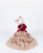 Champagne Tulle Lace Dog & Cat Party Dress with Rosette Bows – 2 Colors (Black/Red)