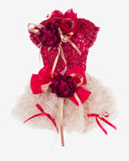 Champagne Tulle Lace Dog & Cat Party Dress with Rosette Bows – 2 Colors (Black/Red)