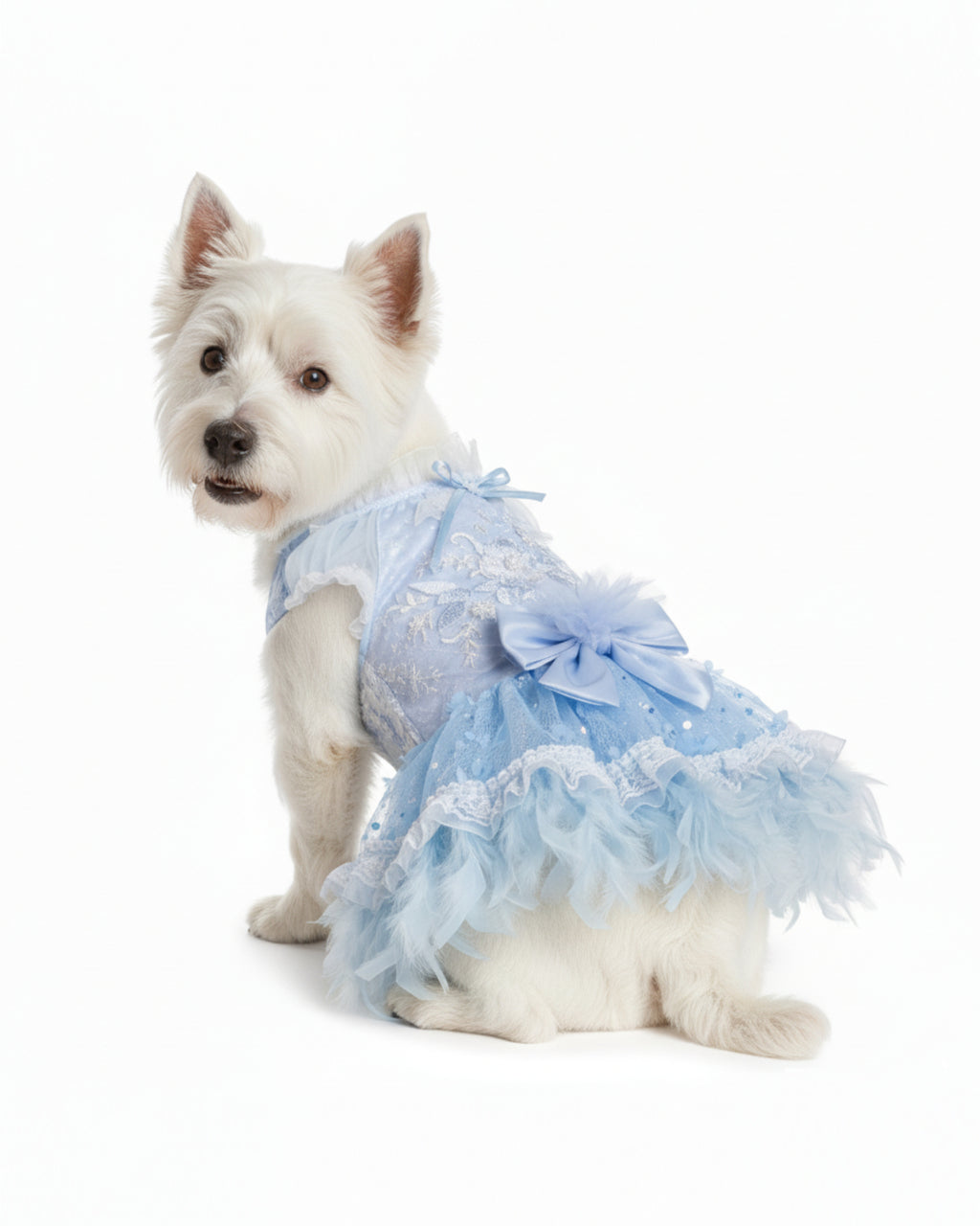 Lace Embroidered Pet Princess Dress with Feather Hem – 3 Colors (Purple/Blue/White)