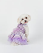 Lace Embroidered Pet Princess Dress with Feather Hem – 3 Colors (Purple/Blue/White)