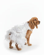 Lace Embroidered Pet Princess Dress with Feather Hem – 3 Colors (Purple/Blue/White)