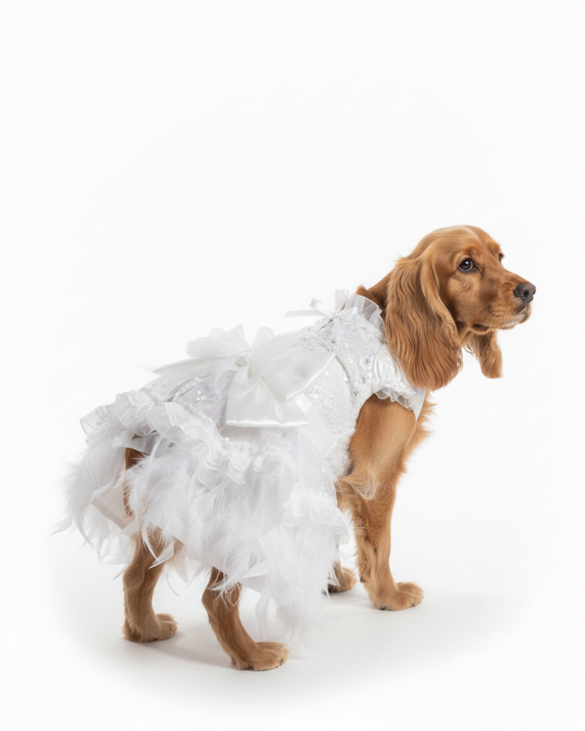 Lace Embroidered Pet Princess Dress with Feather Hem – 3 Colors (Purple/Blue/White)