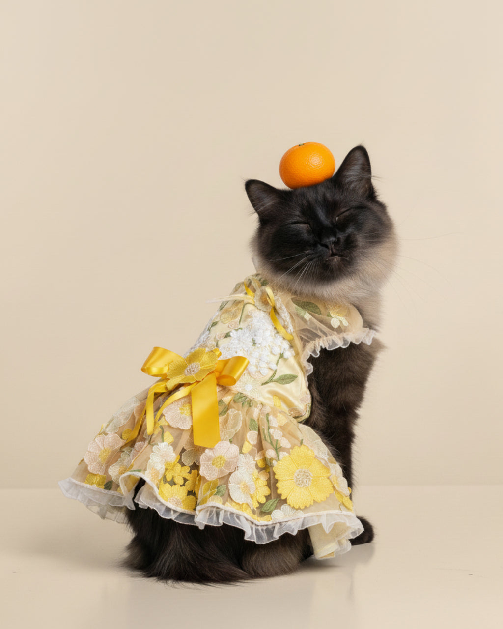 Cream Yellow Embroidered Floral Lace Dog & Cat Dress – Vintage Elegant Style