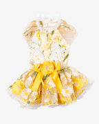 Cream Yellow Embroidered Floral Lace Dog & Cat Dress – Vintage Elegant Style