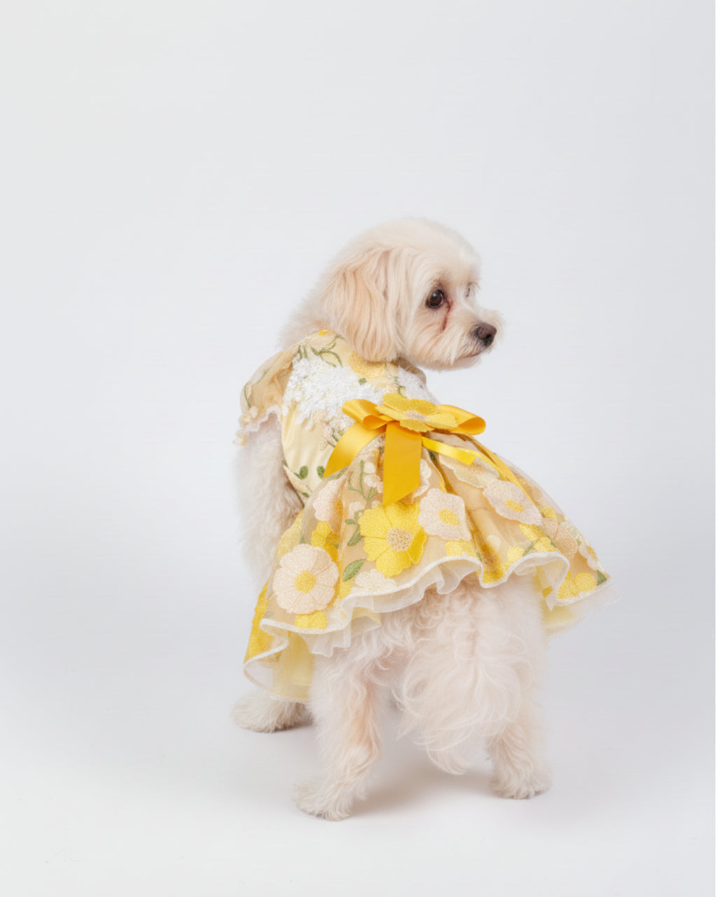 Cream Yellow Embroidered Floral Lace Dog & Cat Dress – Vintage Elegant Style