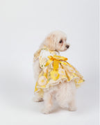 Cream Yellow Embroidered Floral Lace Dog & Cat Dress – Vintage Elegant Style
