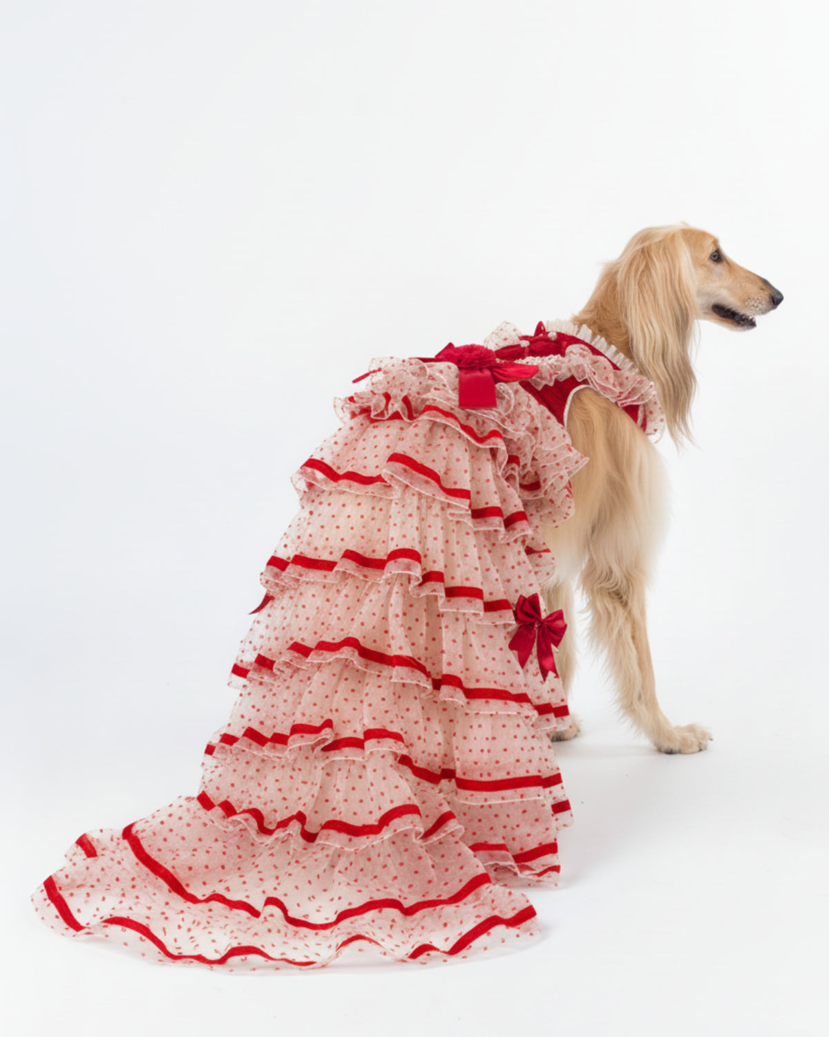 Red & Ivory Heart Tulle Dog & Cat Dress – Detachable 2-Piece Set