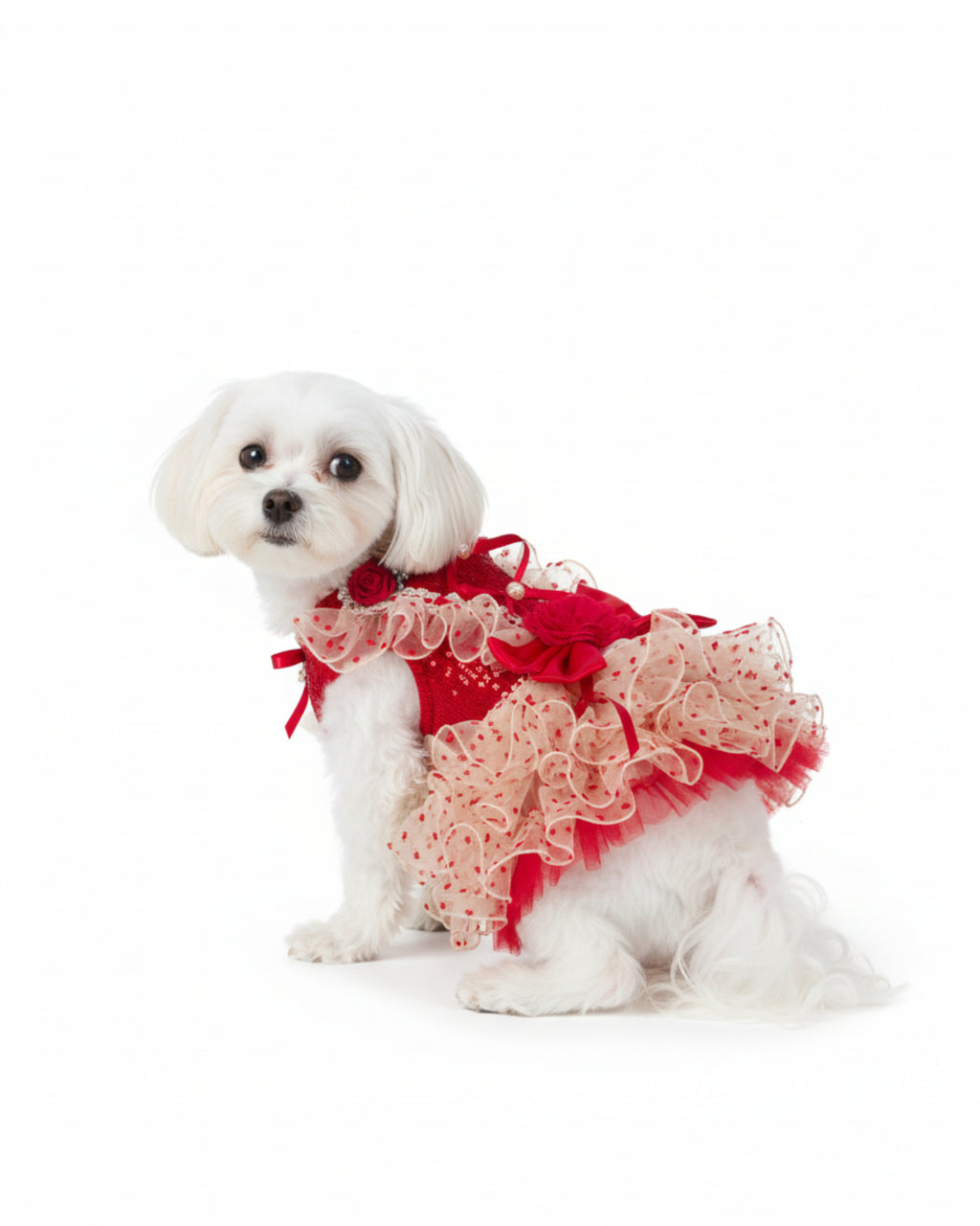 Red & Ivory Heart Tulle Dog & Cat Dress – Detachable 2-Piece Set