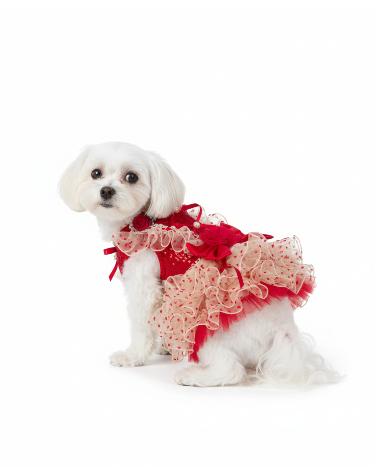 Red & Ivory Heart Tulle Dog & Cat Dress – Detachable 2-Piece Set