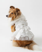 White Lace Ruffle Dog & Cat Dress – Satin Bow (Wedding)