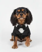 Black & White Bow Tie Dog & Cat Tuxedo Outfit – Wedding & Birthday Style