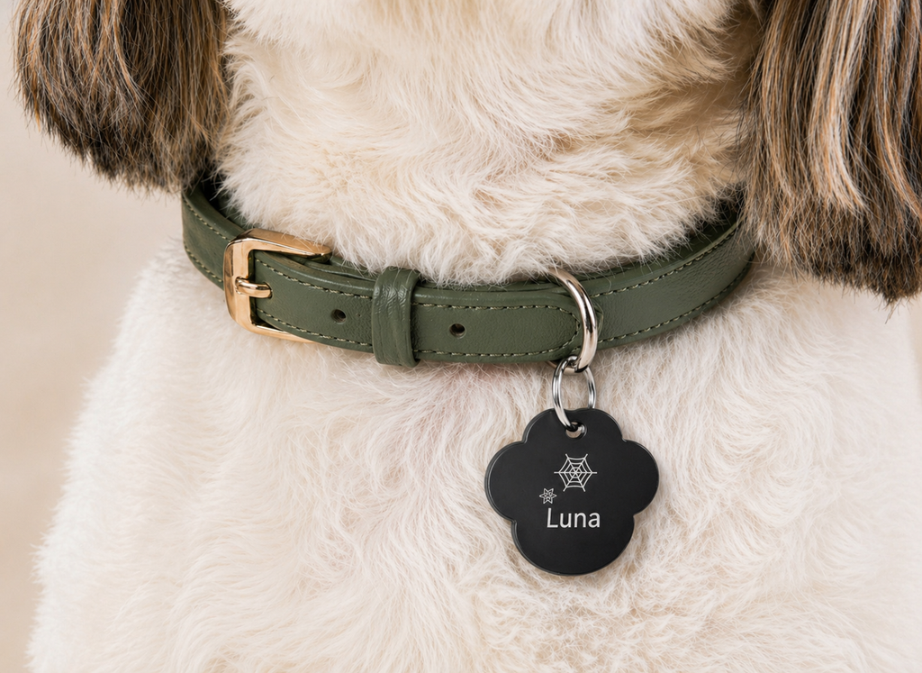 Custom Pet ID Tags – Design Your Own
