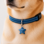 To the Moon Custom Star Pet ID Tag