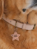 My Lucky Star