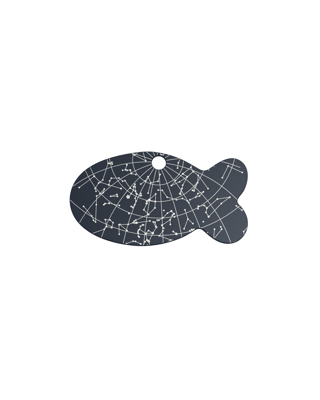 Starlit Voyage