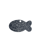 Starlit Voyage
