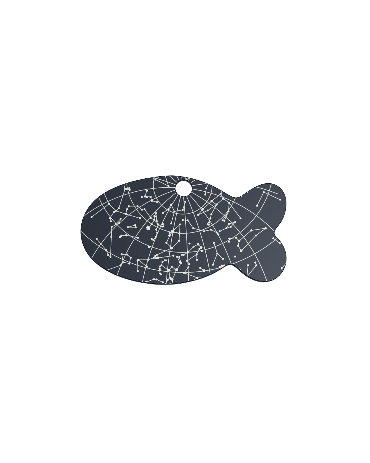 Starlit Voyage
