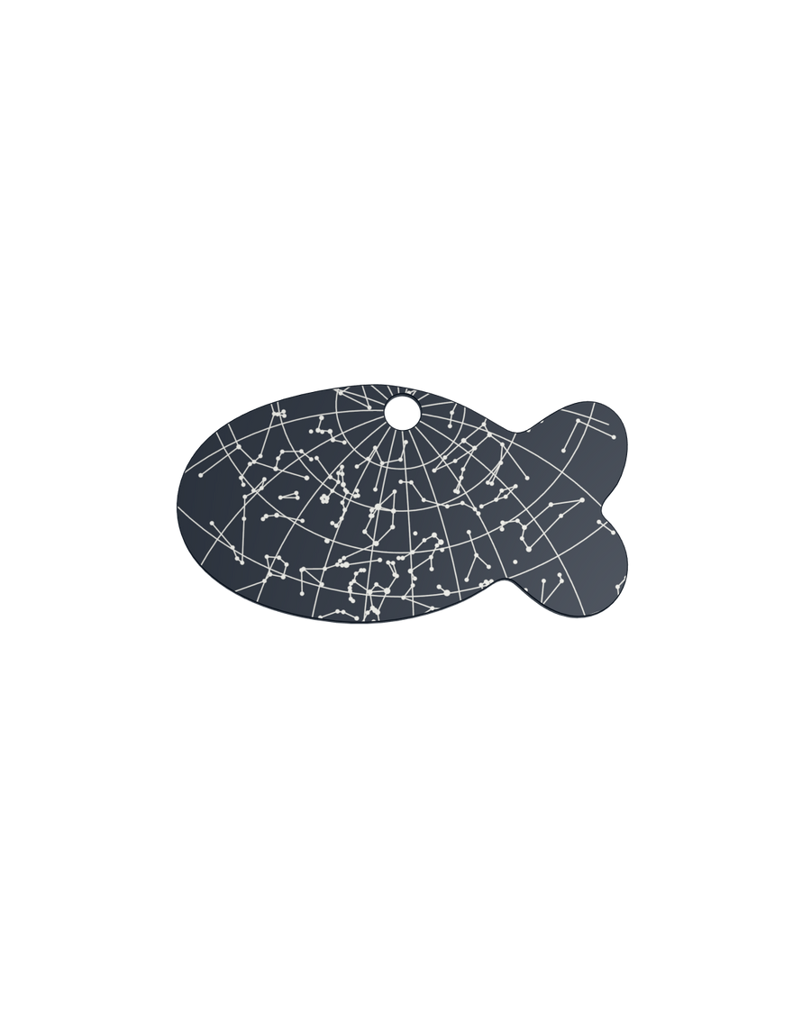 Starlit Voyage