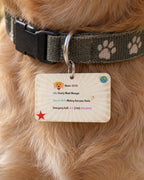Chief Happiness Officer