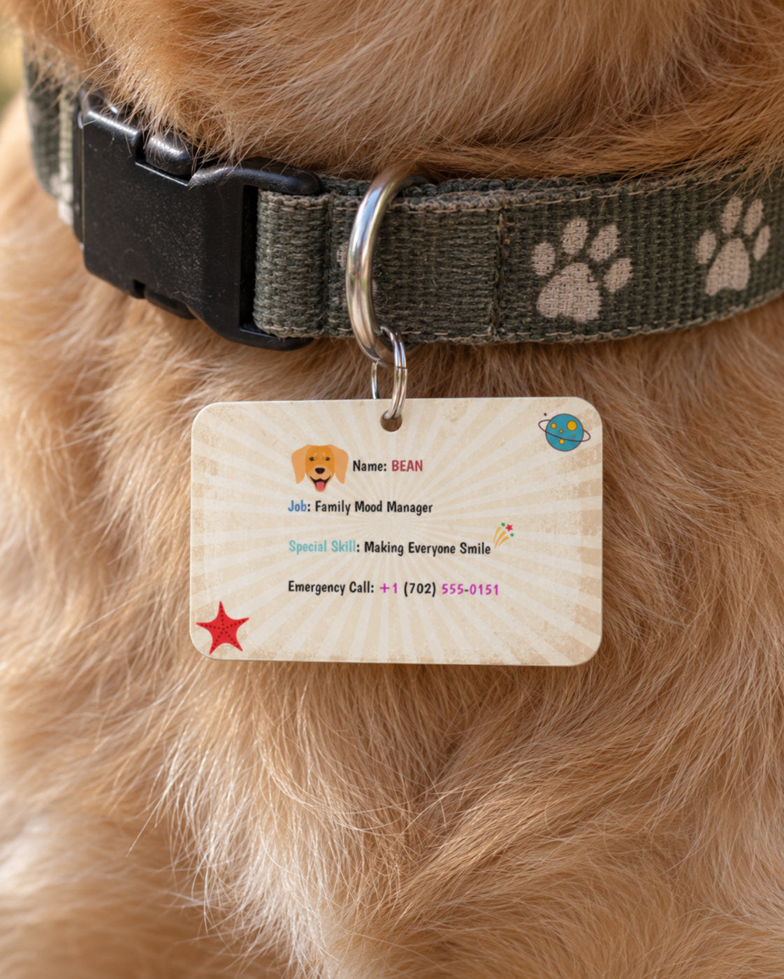 Chief Happiness Officer